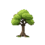 baum