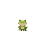 a little  frog