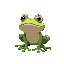 frog