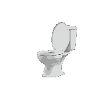 white toilet facing to the right