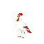white and red bird specie, standing, mostly red, beautiful bird, majestic