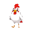 white and red bird standing