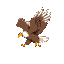 eagle flying