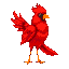 red bird specie, standing, mostly red, beautiful bird, majestic, a bit of white on body