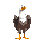 eagle standing