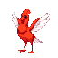 red bird specie, standing, mostly red, beautiful bird, majestic, white wings