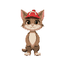 cat with  red hat