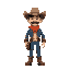 cowboy 