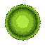 grass