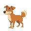 caramel dog