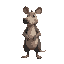 an aardvark