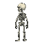 skeleton standing viewed from the side