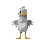 flappy gavião