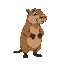 capybara standing on two legs
