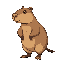 capybara standing on two legs