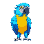 vibrant blue-and-yellow macaw