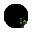 a lie black 