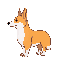 a corgi dog side profile idle pose 