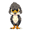 falcon, a pfp, black feathers
