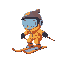 skiier
