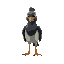 a kelenken bird