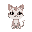 kitty cat