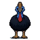 pixel cassowary