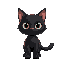 a cute black cat 