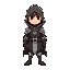 hooded knight hero
