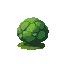  bush
