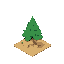 pine tree