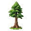 a grand, tall timber tree