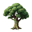 a big, oak tree
