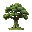 a big, oak tree