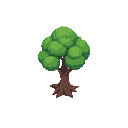 top view of a tree
