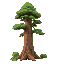 a tall timber tree with detailed