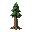 a tall timber tree