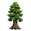 a tall timber tree with detailed