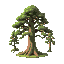 a tall timber tree with detailed