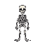 skeleton