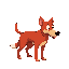 red carlin dog 