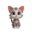 cute cat looking at me