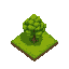a tree growing in a grassy field, top down view