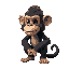norbi borec sigma monkey