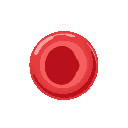 flat and concave red blood cell