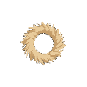 a circle made of a bird feather, minimalistic style