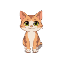 cute cat