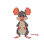 a rat