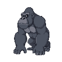 generate a silverback gorilla in the position with both hands on the ground quadruped