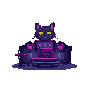 cat night club